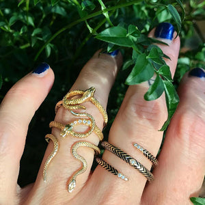 serpent rings on hand